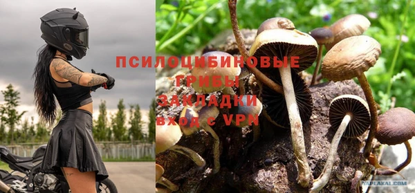 мяу мяу мука Бородино