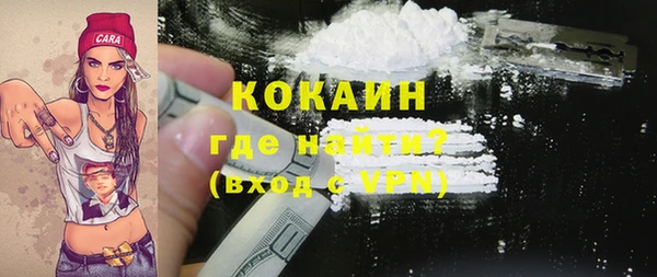 мяу мяу мука Бородино