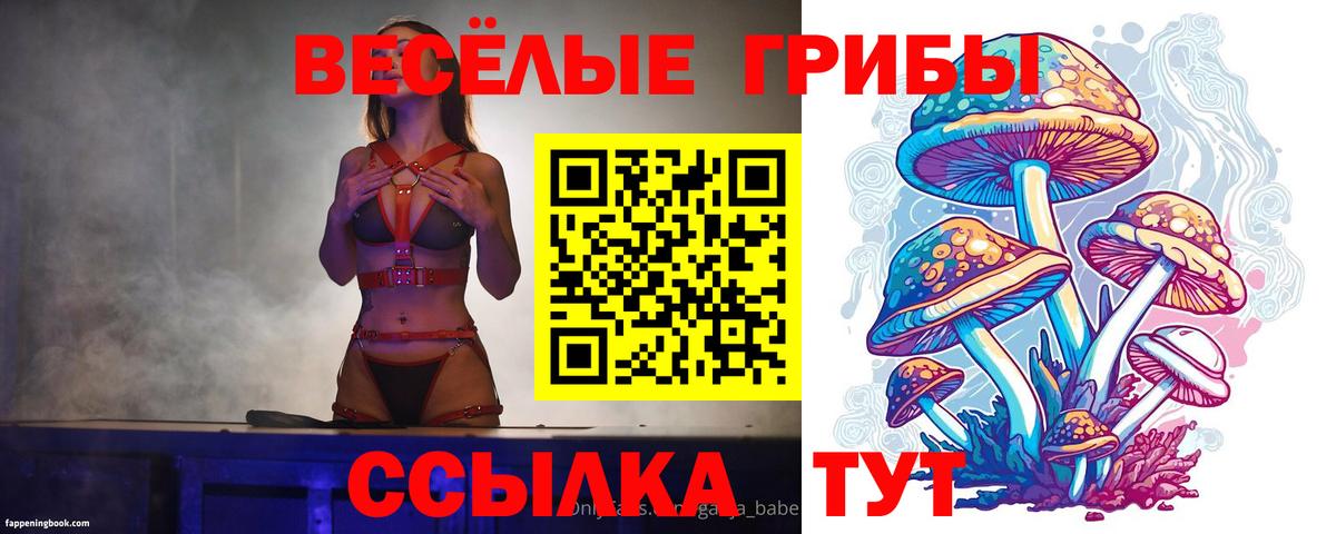 Галлюциногенные грибы мицелий  Вход с VPN  Муром 